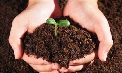 土壤污染状况调查及风险评估